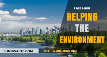 Canada's Green Initiatives: Leading Environmental Conservation Efforts Nationwide