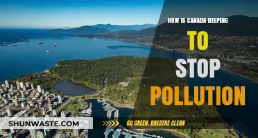 Canada's Green Initiatives: Leading the Fight Against Pollution