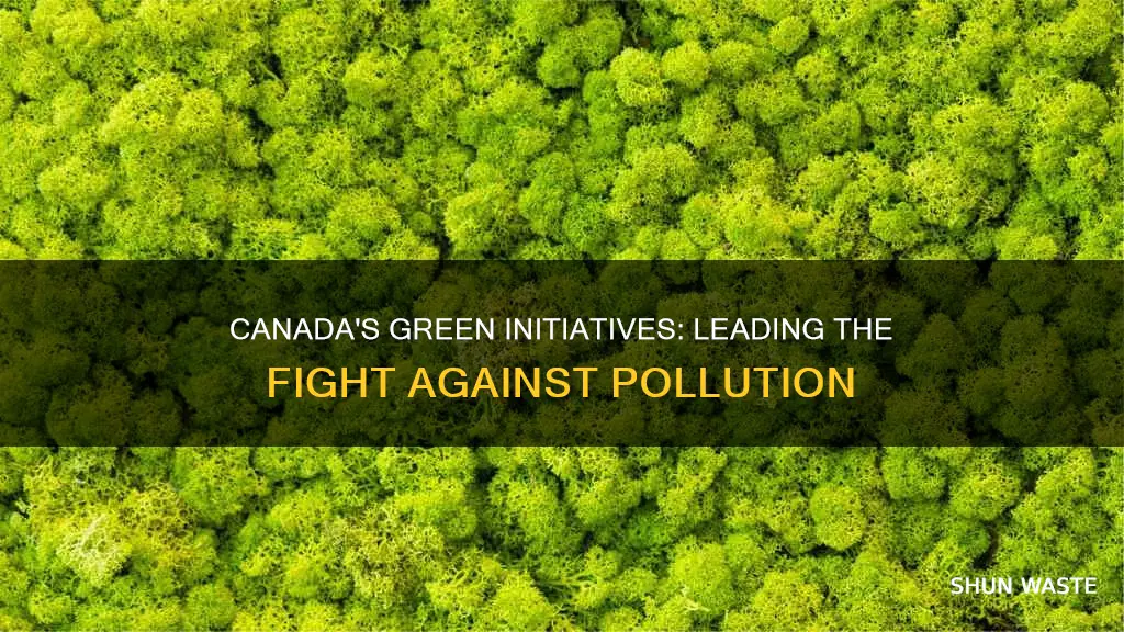 how is canada helping to stop pollution