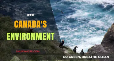 Exploring Canada's Environment: Challenges, Conservation, and Climate Action