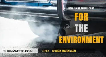 Car Exhaust's Environmental Impact: Pollution, Climate Change, and Health Risks