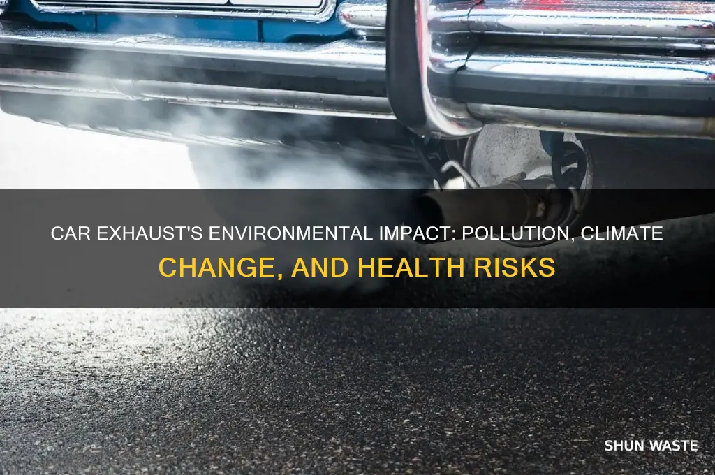 how is car exhaust bad for the environment