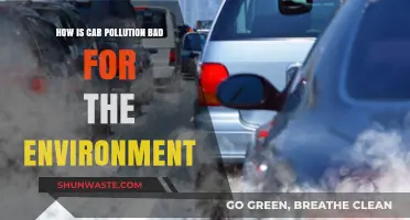 Car Pollution: Harming Our Planet, Our Health
