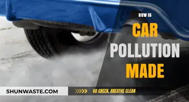 Cars' Pollution: What's the Deal?