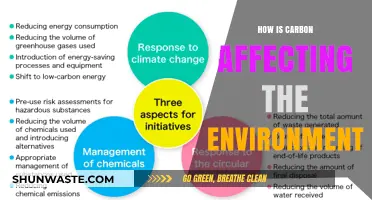 Carbon's Environmental Impact: Unraveling the Consequences of Rising Emissions