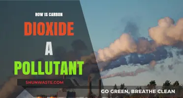 Carbon Dioxide: From Pollutant to Climate Change Driver