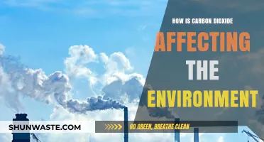 Carbon Dioxide's Impact: Unraveling Its Devastating Environmental Consequences