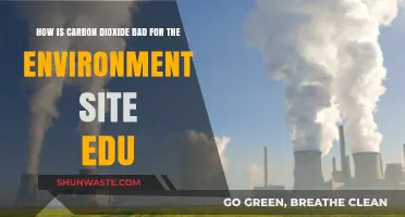 Carbon Dioxide's Environmental Impact: Harmful Effects and Consequences Explained