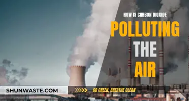 Carbon Dioxide's Impact: Polluting Our Air