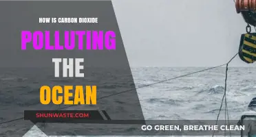 The Ocean's Plight: Carbon Dioxide's Toxic Legacy