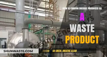Understanding Carbon Dioxide: How It's Produced as a Waste Product