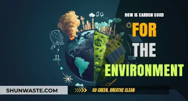 Carbon's Surprising Environmental Benefits: A Sustainable Cycle Explained