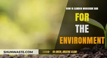 Carbon Monoxide's Environmental Impact: Harmful Effects and Ecological Consequences