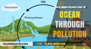 Ocean Pollution: Carbon Release and Climate Change
