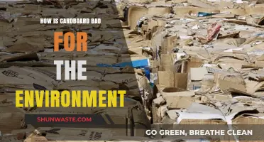Cardboard's Hidden Environmental Impact: Uncovering Its Surprising Ecological Footprint
