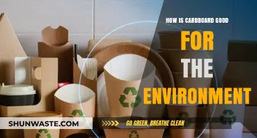 Eco-Friendly Cardboard: Sustainable Benefits for a Greener Environment