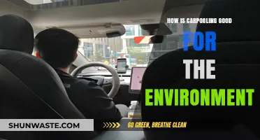 Carpooling: A Green Commute Reducing Emissions and Saving Resources
