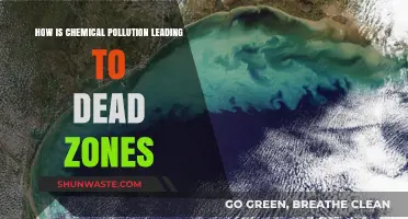 Chemical Pollution: Dead Zones and Their Cause