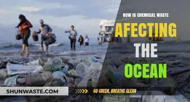 Toxic Tides: Chemical Waste's Devastating Impact on Ocean Ecosystems