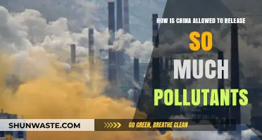 China's Pollution Problem: Who's Allowing This?