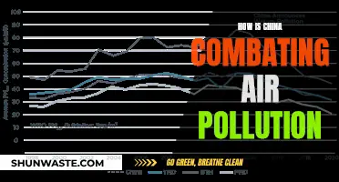 China's War on Air Pollution