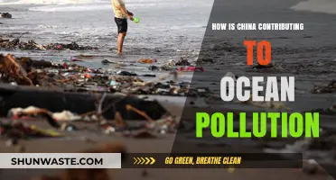 China's Impact on Ocean Pollution
