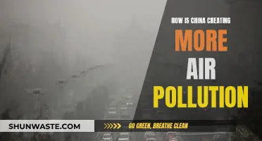 China's Air Pollution Crisis: The Human Cost