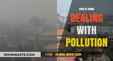 China's Pollution: Strategies and Challenges