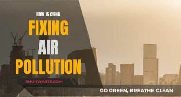 China's War on Air Pollution
