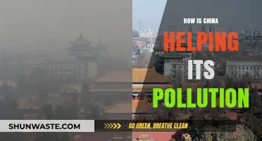 China's Fight Against Pollution: Strategies and Initiatives