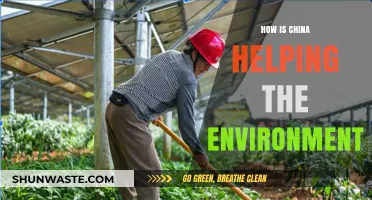 China's Green Revolution: Environmental Initiatives and Global Impact