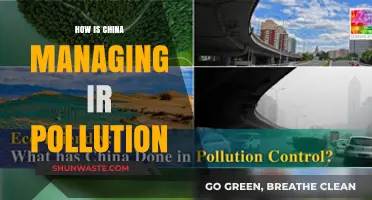 China's Fight Against Air Pollution