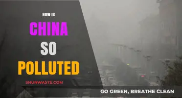 China's Pollution Crisis: Why So Bad?