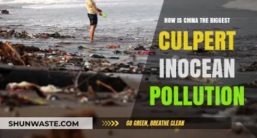 China's Ocean Pollution: A Global Crisis