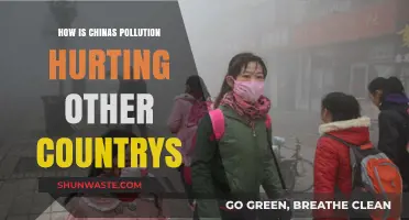 China's Pollution: A Global Crisis