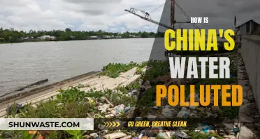 Unveiling China's Water Crisis: Sources and Solutions