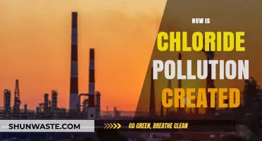 Chloride Pollution: Understanding Its Human-Made Sources