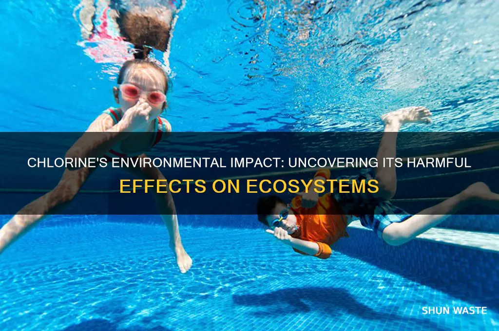 how is chlorine bad for the environment