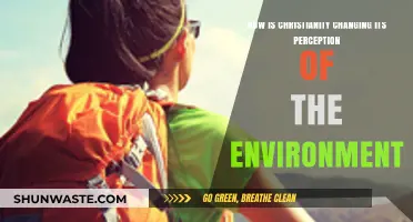 Christianity's Environmental Awakening: Shifting Perspectives on Creation Care