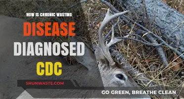 Diagnosing Chronic Wasting Disease: CDC Guidelines and Testing Methods