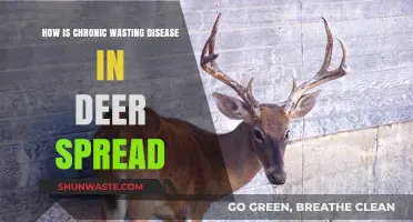 Understanding Chronic Wasting Disease Transmission in Deer Populations