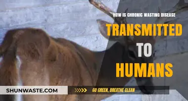 Chronic Wasting Disease: Understanding Human Transmission Risks and Prevention