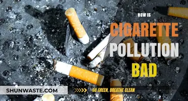 Cigarette Pollution: A Silent Killer in Our Midst