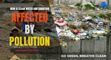 Pollution's Impact on Clean Water and Sanitation