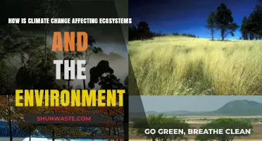 Climate Change's Devastating Impact on Ecosystems and Our Environment