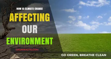 Climate Change's Devastating Impact: Transforming Our Environment and Future
