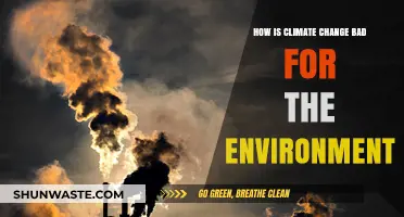 Climate Change's Devastating Impact: Harming Ecosystems and Our Planet's Future