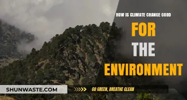 Unexpected Benefits: How Climate Change Can Positively Impact Ecosystems