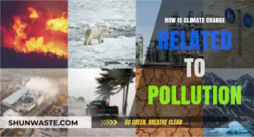 Climate Change and Pollution: What's the Link?