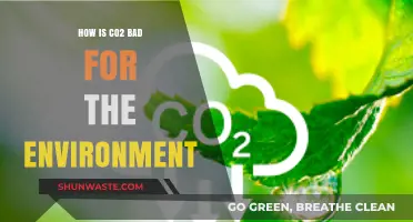 CO2's Environmental Impact: Understanding Its Harmful Effects on Our Planet